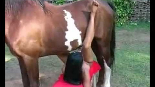 Phim sex người và ngựa địt nhau hay nhất