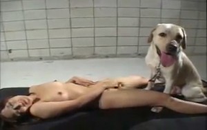 Phim sex thu, sex thú động vật địt nhau với người